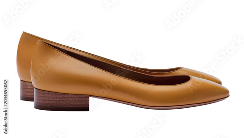 Bilde på lerret Brown leather pointed toe low heel women s shoes