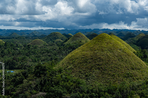 A large Chocolate Hill towering over the forest in Bohol