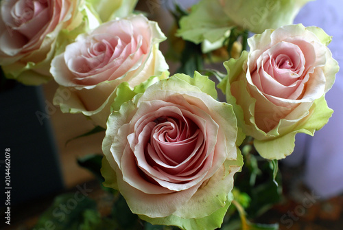 COLORFUL ROSES IN A VASE ON THE TABLE