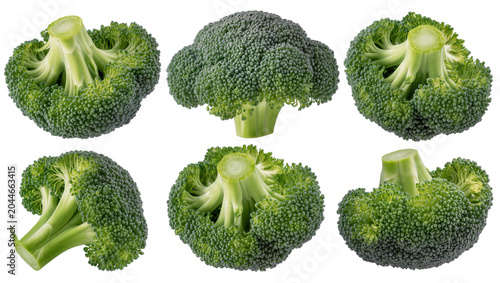 Tableau sur toile Fresh green broccoli florets and stalks arranged