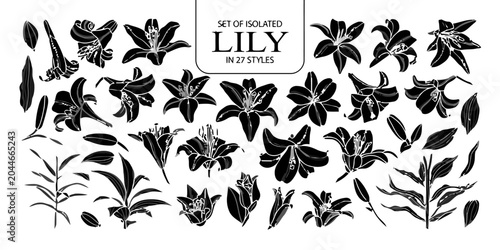 Lily Silhouettes Set