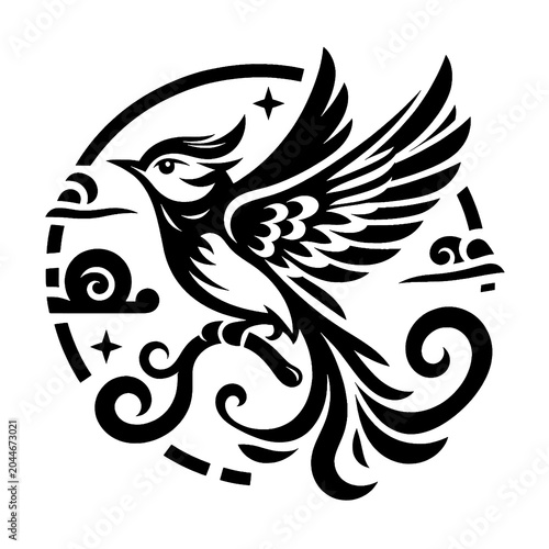 black and white bird
