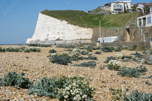 Saltdean beach, Sussex, England.
