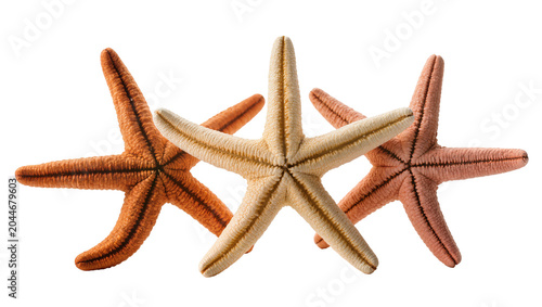 Bild auf Leinwand Three colorful starfish arranged closely together