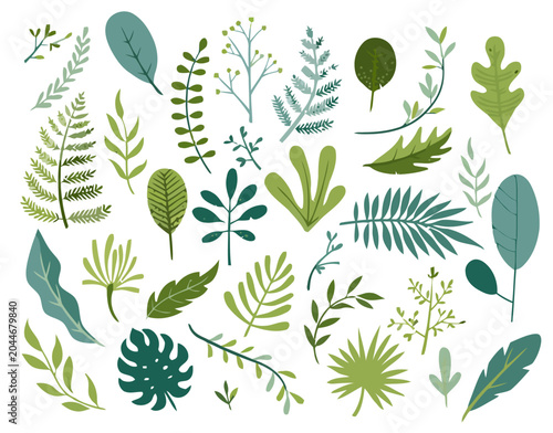 Assorted Leaves and Greenery Collection with Botanical Elements