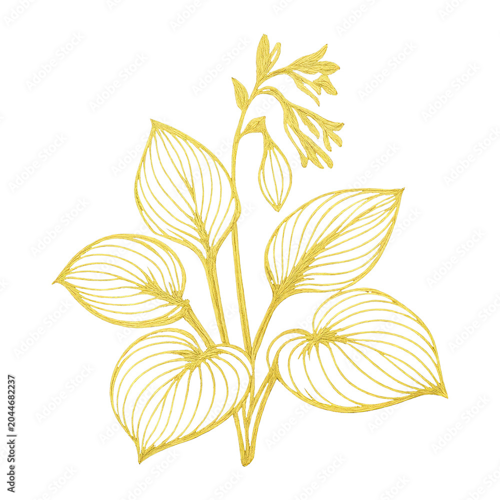 Obraz premium PNG Elegant golden botanical line art.