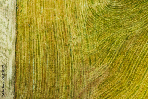 Aerial view of harvested field next to green grass strip