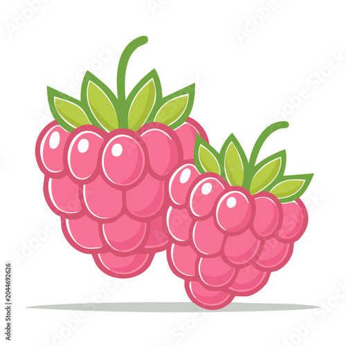 Two pink raspberries with green leaves