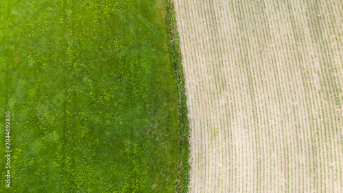 Split field aerial view green grass and plowed soil texture