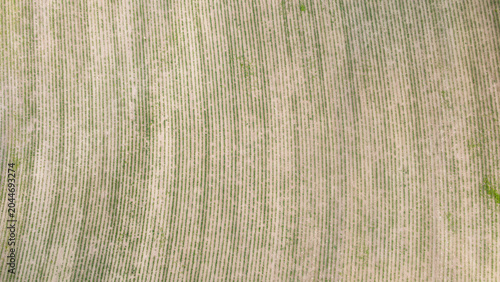 Wide aerial view of harvested farmland