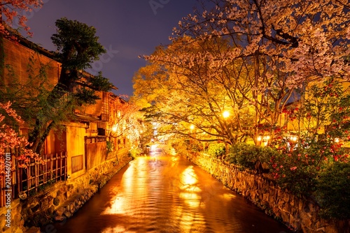 Принти на полотні 京都・祇園白川の夜桜