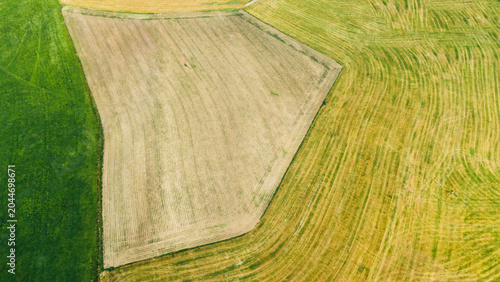 Quadro su tela Top down drone view of grain field with circular tractor marks