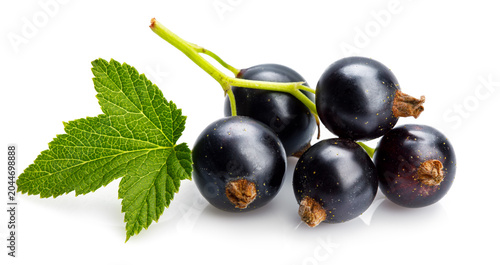 Konstfotografi Berries black currant with green leaf