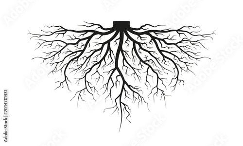 Tree root system silhouette isolated on white background, nature concept