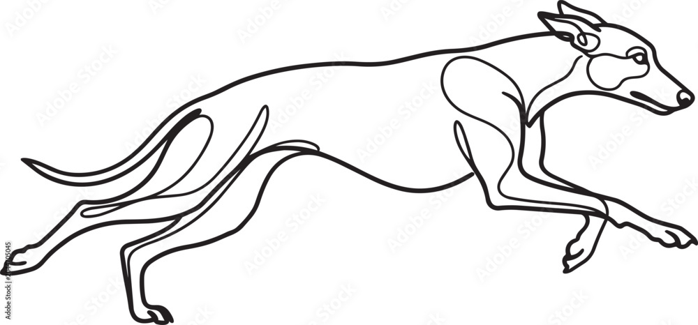 Obraz premium Running greyhound continuous one-line drawing icon