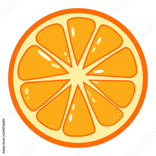 Orange Slice Vector Illustration Isolated on Light Background