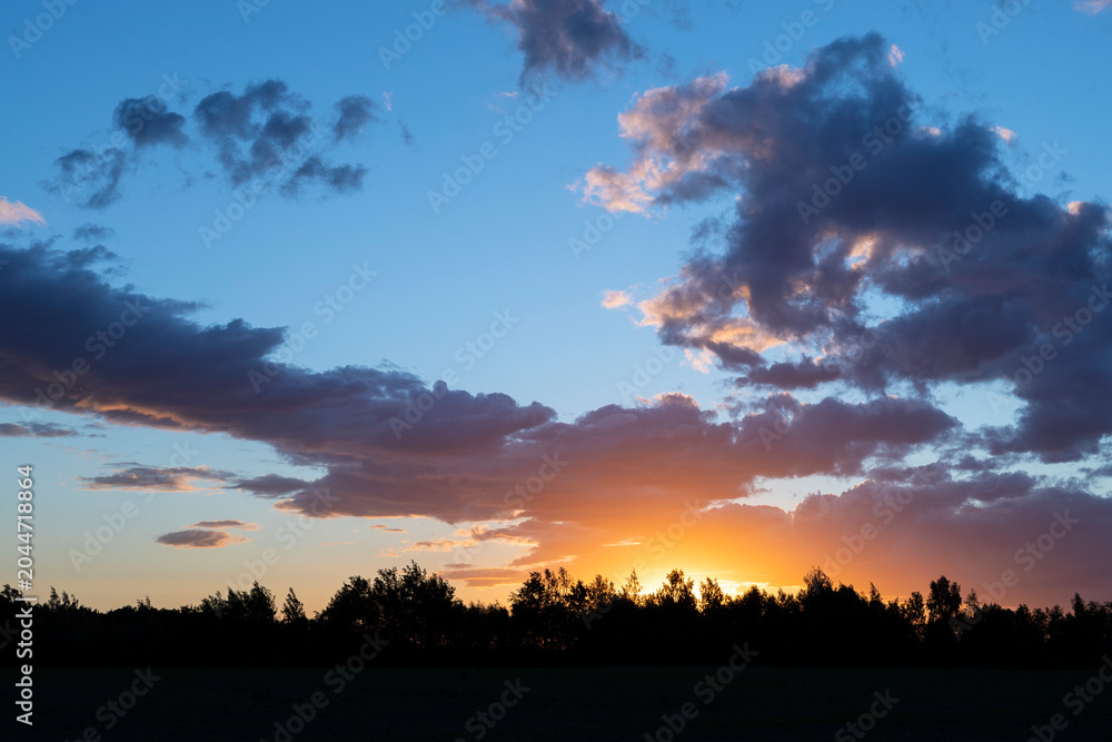 Fototapeta premium Vibrant sunset under the forest with dramatic sky