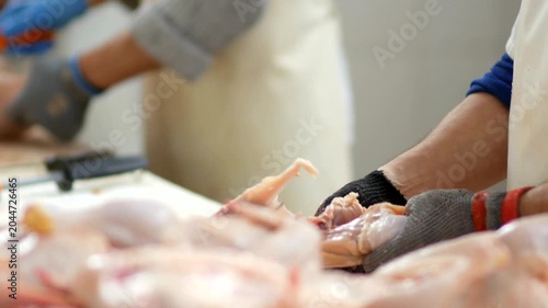 Workers Processing Raw Chicken Meat in Poultry Facility