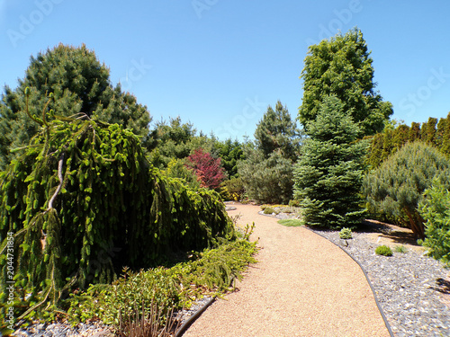 Summer landscape with trees and trail in the park