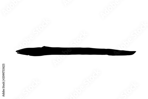 Obraz na płótnie Conger Eel Silhouette Vector Illustration