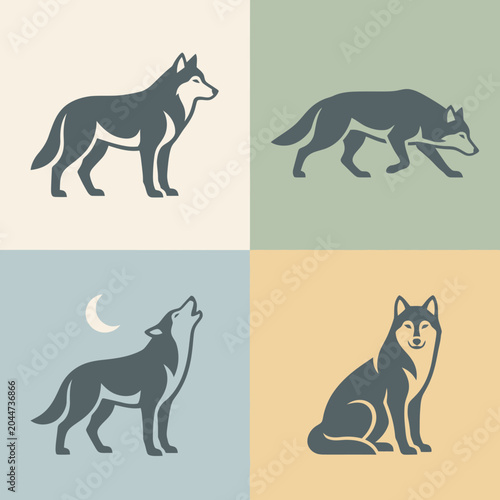 Fotografi Gray wolf illustrations in different poses.