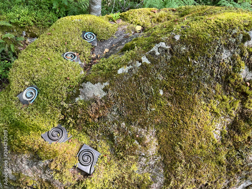 green moss on stone