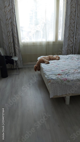 little dog sleeping in bed