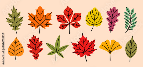 Schilderij op canvas Autumn leaf collection featuring oak, maple, horse chestnut, birch, ginkgo, ash and other tree leaves