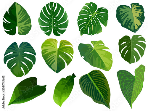 Tropical Leaves Collection, Variety of Shapes, Greenery Pattern