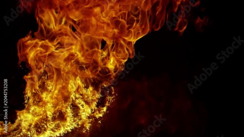 Vibrant dancing flames of fire burning against a dark black background.
