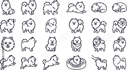 Canvas Print Pomeranian dogs various poses sleeping playing barking sitting and wearing hats cute fluffy dog breed illustration