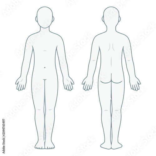 Human body outline front and back view, medical illustration