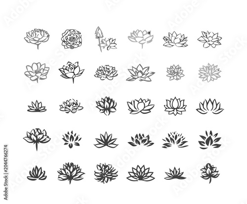 Lotus Flowers Collection, hand-drawn illustrations, minimalist design
