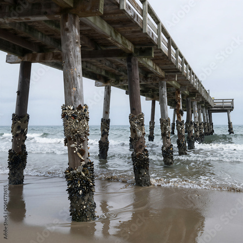 Wooden pier extending into the ocean with barnacle-covered pillars at low tide