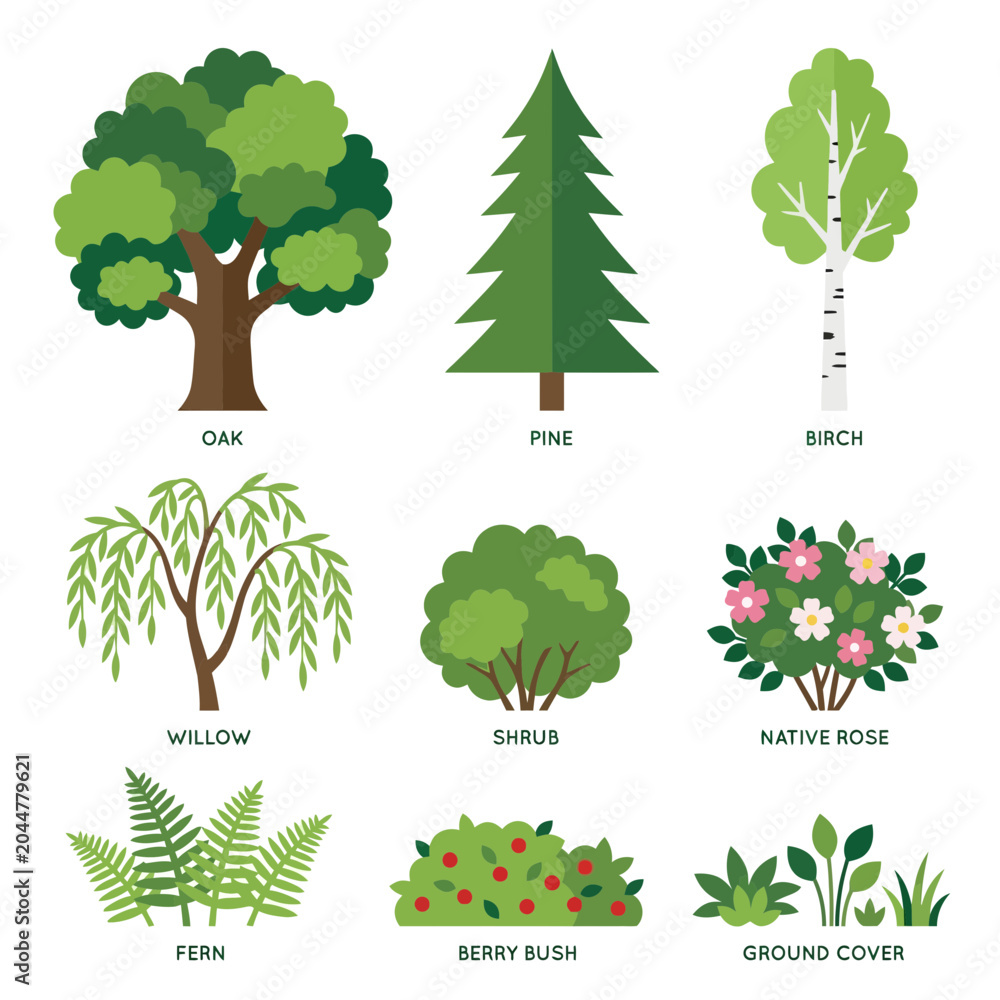 Fototapeta premium Collection of various trees and plants for ecolog… illustration Natural_forest_collection_ecolog…_202606032005