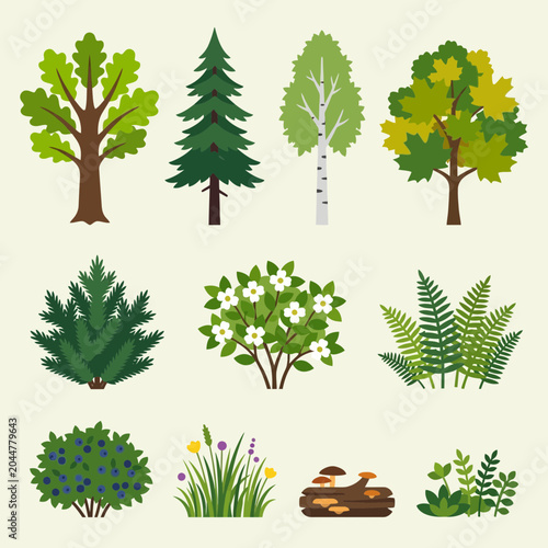 Schilderij op canvas Various trees and plants in a natural forest collection ecologically illustrated