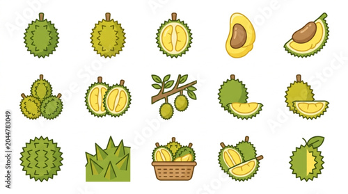 Tableau sur toile Collection of Durian Fruit Icons and Illustrations.