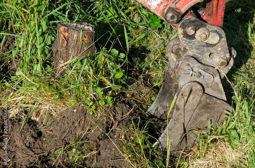 Fototapeta premium Excavator bucket removing tree stump in a natural outdoor setting with soil, root and fresh earth exposed.