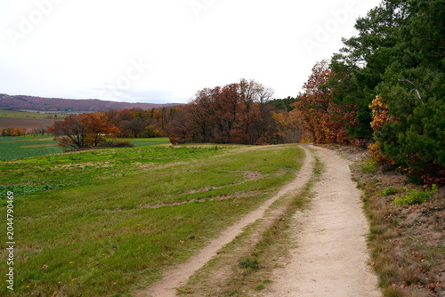 Photos Wanderweg im Harzvorland bei der Blankenburger Teufelsmauer, Pfad, Wiese, Feld,