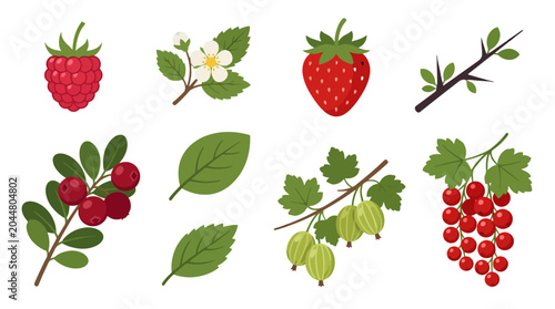 Collection of fresh berries and leaves isolated on white background.