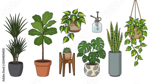 Collection of hand drawn indoor house plants in various decorative pots.
