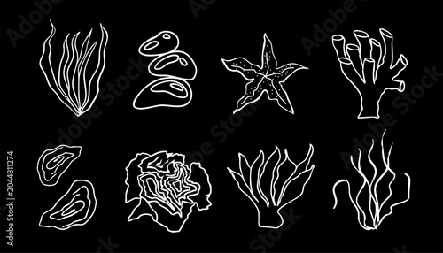 Bild auf Leinwand Vector set of white outline illustrations featuring marine seaweed, corals, and starfish on a black background in a chalkboard or doodle style