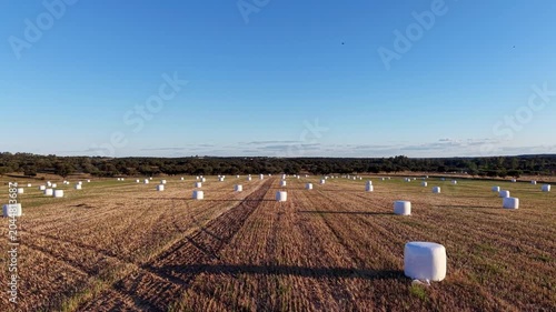 Paisaje agroganadero con pacas redondas de ensilado durante la hora dorada