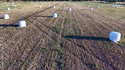 Pacas redondas encintadas para conservación de forraje en entorno agrícola rural