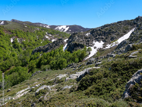 Spring snow patches on rocky Corsican mountain slope with green forest Val d'Ese