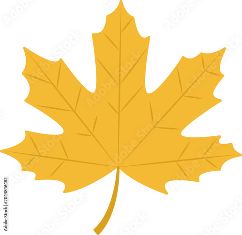 Yellow maple leaf. Autumn nature illustration symbolizing fall season.