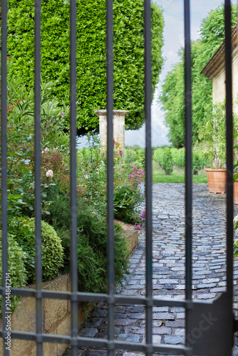 View of a charming garden