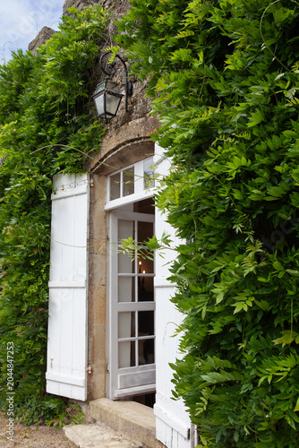 Wistaria on a stoned facade