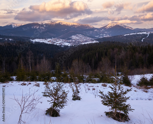 Winter evening sunset mountains (Ukraine, Carpathians -  mountain peaks Khomyak and Synyak scenery view from Yablunytsia Pass).