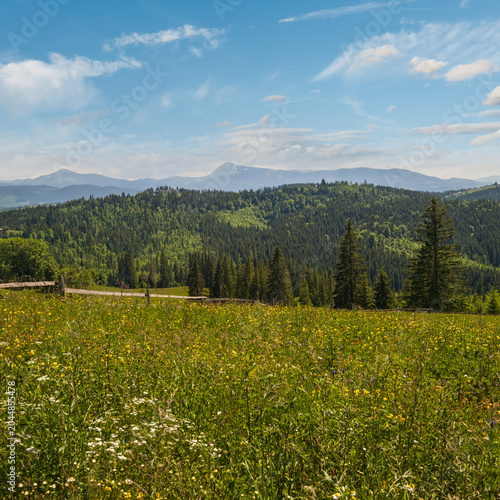 Summer Chornohora massiv mountains scenery view from Sevenei hill (near Yablunytsia pass, Carpathians, Ukraine.)